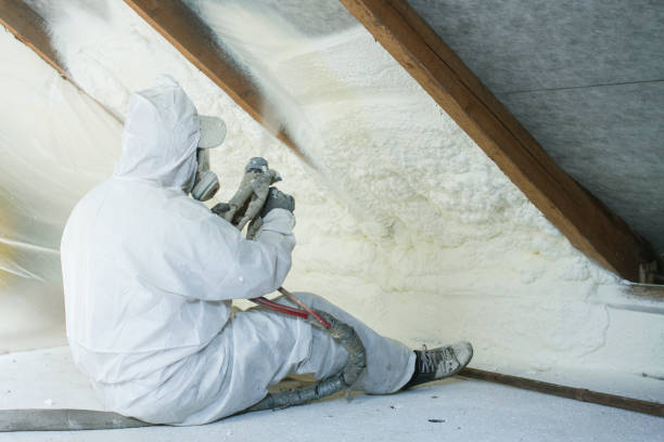 Types of Insulation We Offer in Nederland, TX